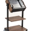 Custom Made Stand with Two Shelves and Cabinet for Revox B77 Reel to Reel Recorder